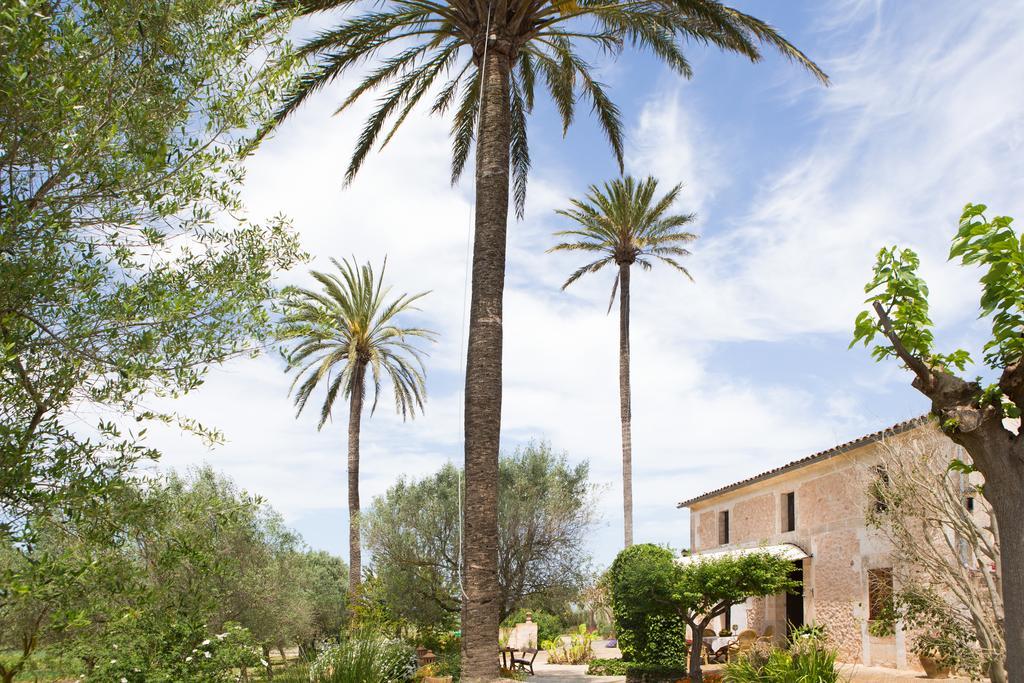 Agroturismo Es Pla De Llodra Manacor  Buitenkant foto
